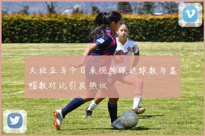 文班亚马今日表现抢眼进球数与盖帽数对比引发热议